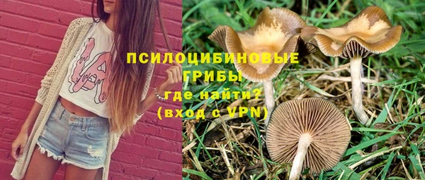 кокс Алзамай