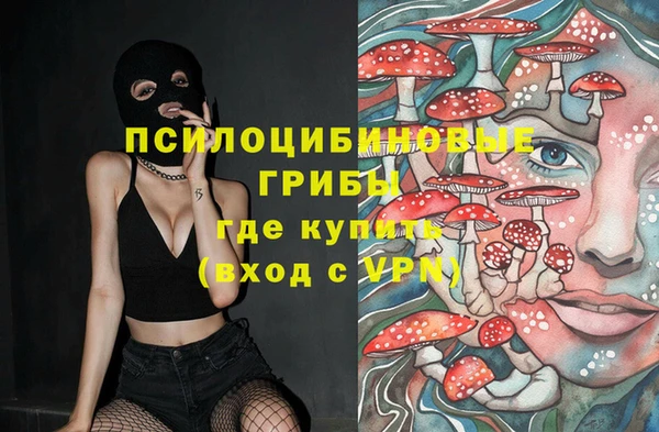 трава Абаза